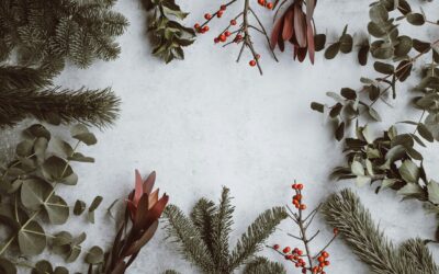 El calor de hogar en MANA: ¡Feliz Navidad a nuestra comunidad!